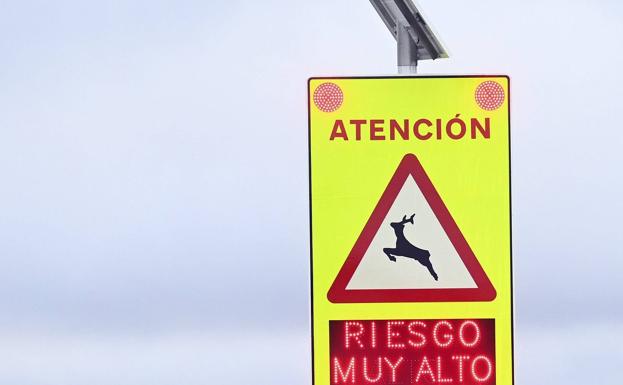 Un proyecto pionero en dos carreteras leonesas permitirá avisar de animales en la calzada