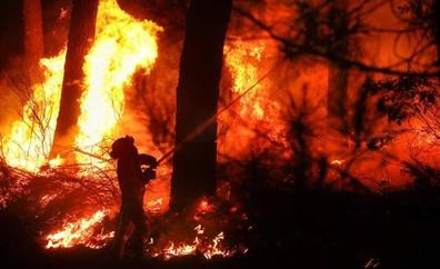Greenpeace exige que la Junta que actualice su plan Infocal de 1999 para prevenir más incendios «dramáticos»