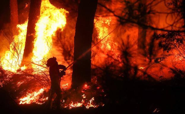 Greenpeace exige que la Junta que actualice su plan Infocal de 1999 para prevenir más incendios «dramáticos»