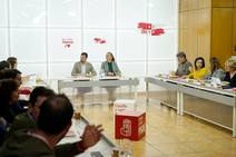 Plenario de la Comisión Ejecutiva Autonómica (CEA) del PSOE de Castilla y León