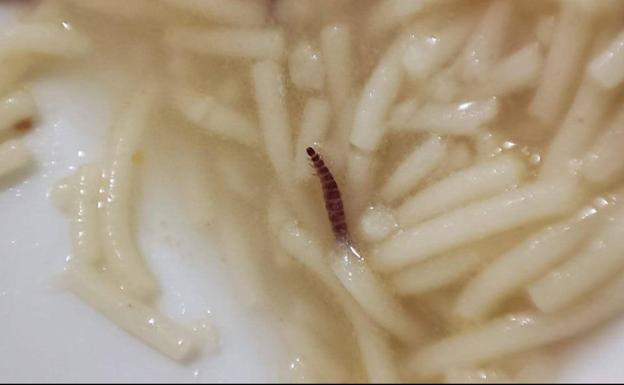 La aparición de larvas en una sopa servida en el Hospital de León se salda con una sanción «grave» de 200 euros