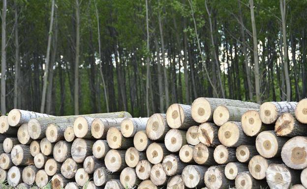 León acoge una jornada sobre el potencial de la construcción industrializada con madera