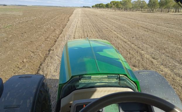 El tiempo esta semana: las heladas acompañan a la actividad agraria