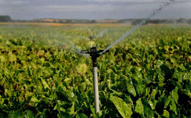 La región es la mayor beneficiaria de las ayudas para compensar la subida de los fertilizantes