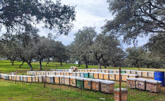 Publicada la regulación de las ayudas agroambientales y de agricultura ecológica