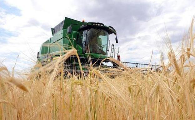 La Junta publica la regulación de las ayudas agroambientales y de agricultura ecológica para la nueva PAC