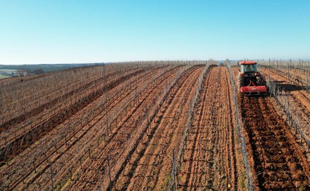 El número de parados vinculados a la agricultura baja 78 personas en febrero