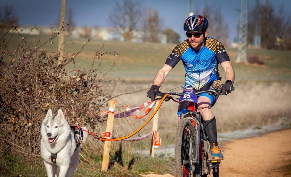 Buena actuación del Club Mushing Montaña Oriental de León en Salas de los Infantes