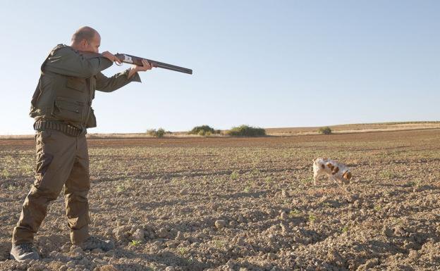 El Congreso aprobará definitivamente el jueves la Ley de Bienestar Animal sin los perros de caza