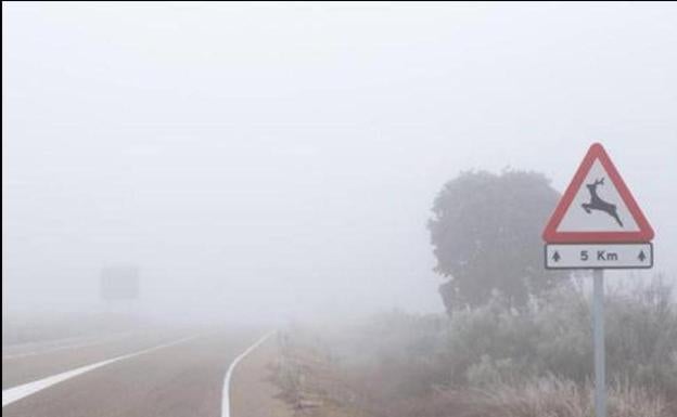 La niebla complica la visibilidad en la N-601 a su paso por Izagre