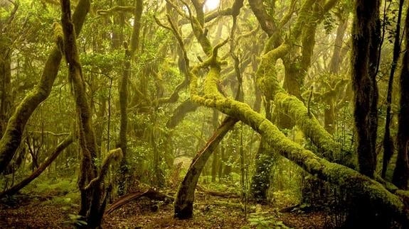 Los Parques Nacionales más impresionantes de España