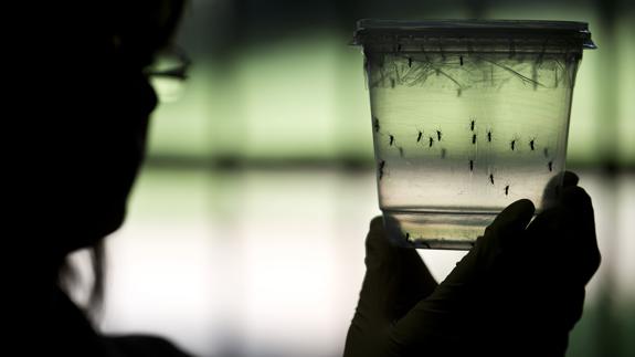 La vacuna del zika comienza a probarse en personas