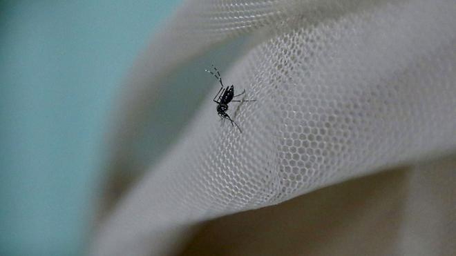 Segundo contagio de zika por transmisión sexual en España