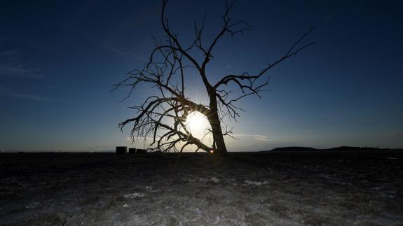 España ratifica el Acuerdo del Clima de París un año y un mes después de su adopción