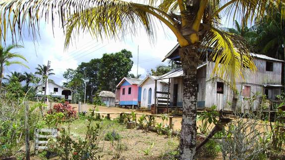 Pueblos antiguos formaron la selva amazónica