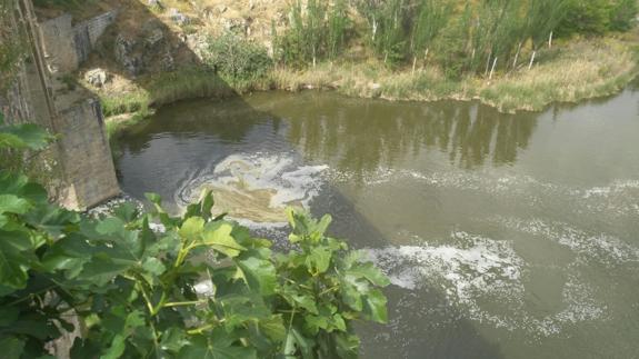 Aparecen manchas verdes en el río Tajo a su paso por Toledo