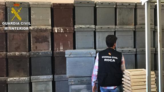 Dos detenidos por robar 223 colmenas de abejas en Valencia, Murcia y Albacete