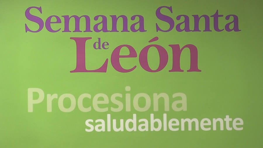 Cómo cuidar a un papón