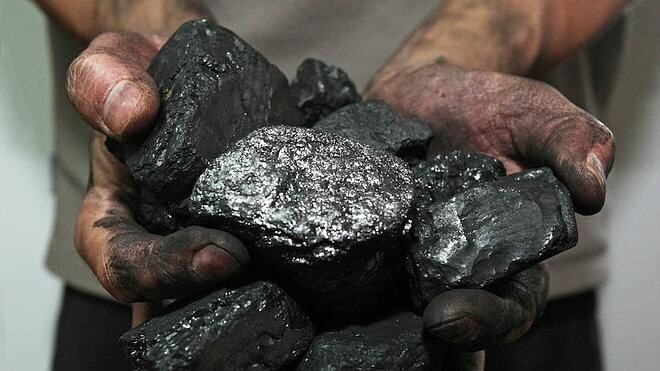Un carbón que proteger
