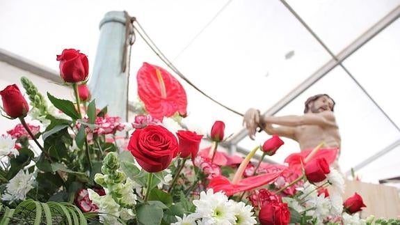 Pasión por las flores