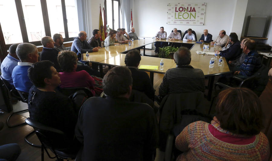 Matías Llorente critica que desde el MAGRAMA no se tiene «ni puta idea» sobre el séctor lácteo