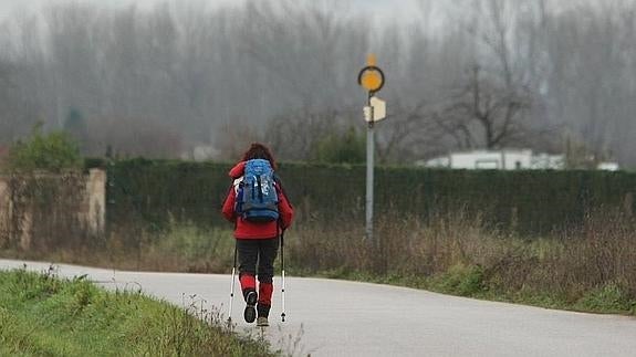 El pasaporte del Camino