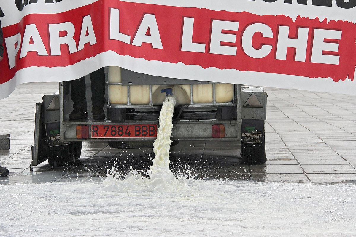 Doce ganaderos leoneses no encuentran comprador a sus 3.100 litros de leche diarios y dejarán sus explotaciones