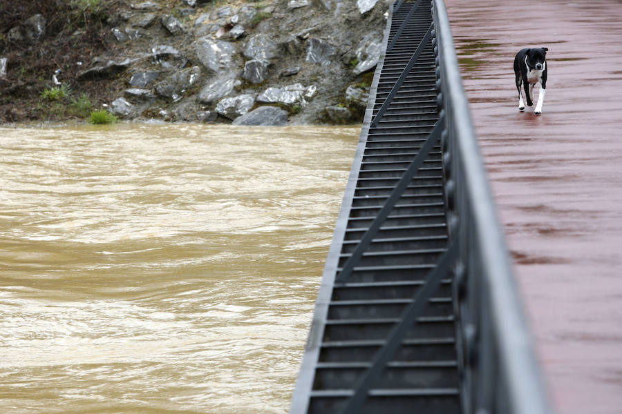 La ausencia de precipitaciones normaliza la situación de los ríos en la provincia