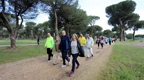 La Junta actualizará el acuerdo de reserva de contratos para ampliarlo a las empresas de inserción socio-laboral