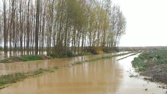 Los regantes piden la declaración de zona catastrófica en las provincias más afectadas por las lluvias