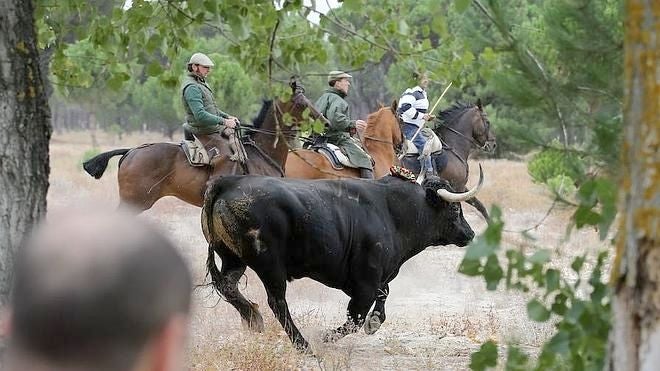 Prohibida la muerte del Toro de la Vega