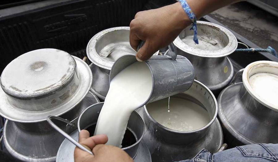 La interprofesional del sector lácteo pide a las administraciones planes para reducir la producción de leche