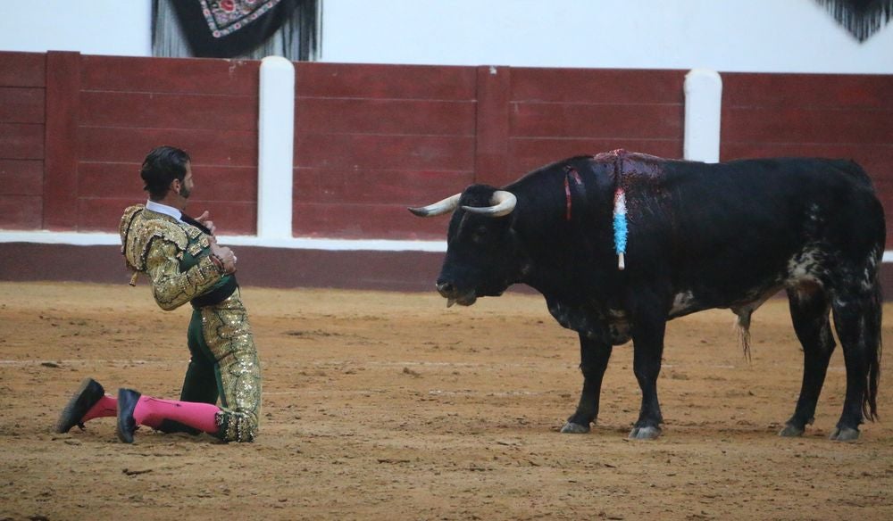 Padilla, Manzanares y Cayetano: corrida grande de las Fiestas