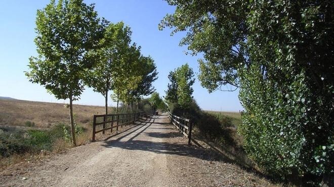 Castilla y León estudia incorporar sus 120.000 kilómetros de pistas y caminos rurales al operativo contra incendios