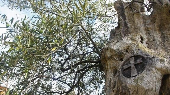 Nace la Asociación del Camino Olvidado para recuperar la ruta y convertila en «una competencia grande» del Camino Francés