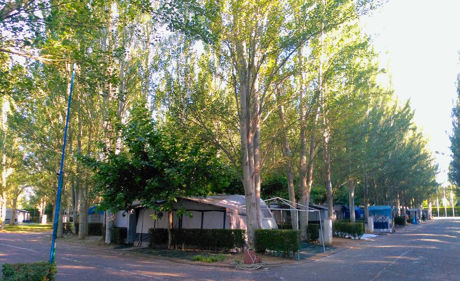 El camping de Veguellina de Órbigo actualizará precios, manteniéndose como el más económico de la provincia, para mejorar el servicio
