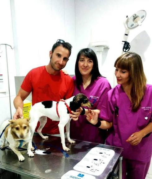 Rovira encuentra amos para Tina y busca ahora dueño para Luka