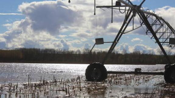 El Ministerio de Agricultura adjudica las obras de mejora y modernización del regadío del sector I del Canal del Páramo