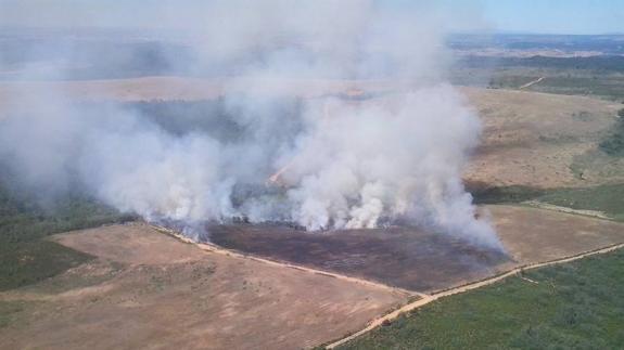 Un incendio calcina casi 10 hectáreas en Villafeliz de la Sobarriba
