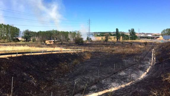 Un incendio en Onzonilla arrasa dos hectáreas de superficie