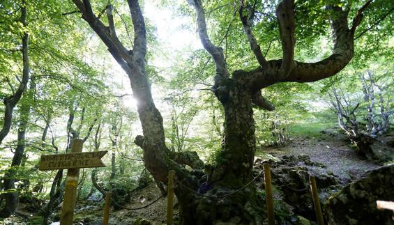 Alto Bernesga, un lugar para perderse en la naturaleza