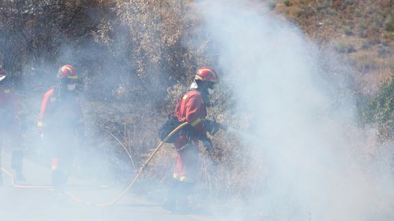 Un total de trece incendios afectan en las últimas horas a la provincia de León