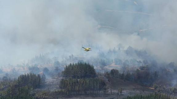 Controlado el incendio declarado en el valle de Finolledo y que llegó a alcanzar el nivel 1