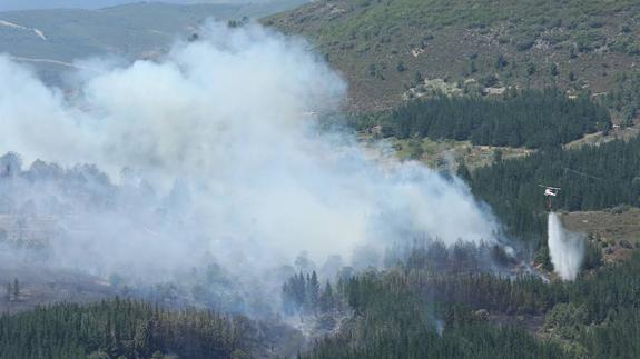 El incendio en Valle de Finolledo calcina 25 hectáreas de masa forestal