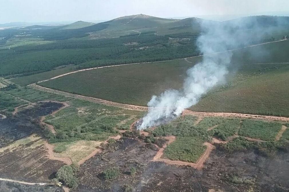 El incendio de Castrocontrigo quemó 131,9 hectáreas de brezo, pino y roble