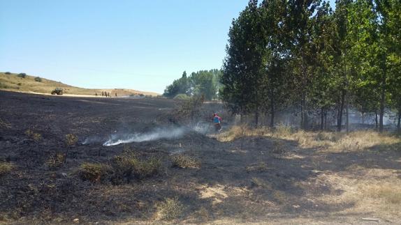 La chispa de una cosechadora origina un incendio de cereal en la localidad de Banecidas