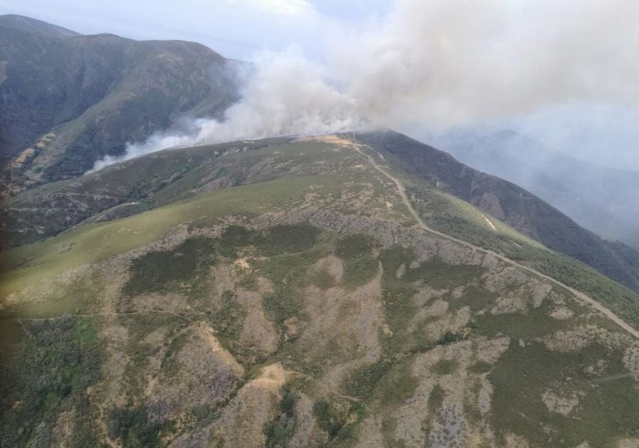 «Terrorismo ecológico», en el incendio de Palacios del Sil