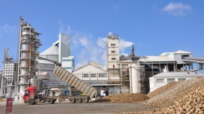 Azucarera ratifica su intención de ampliar la fábrica de La Bañeza en más de 8.000 hectáreas en los próximos años