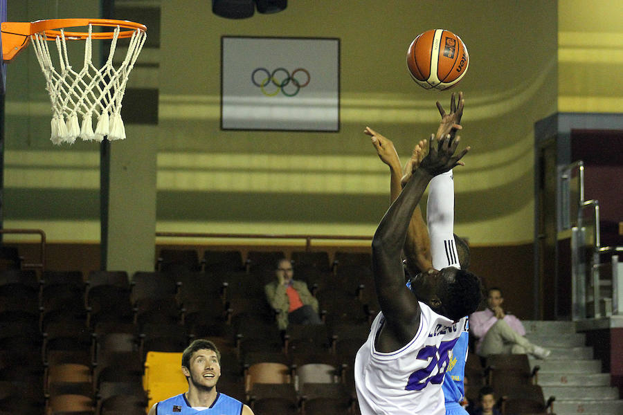 El primer gallo llega a León