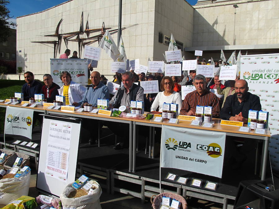 La Alianza UPA-COAG cifra en 844 millones las pérdidas de los agricultores y ganaderos de Castilla y León por la «ruina de precios»